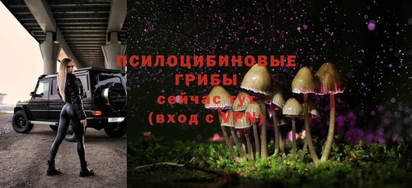 MDMA Лабытнанги