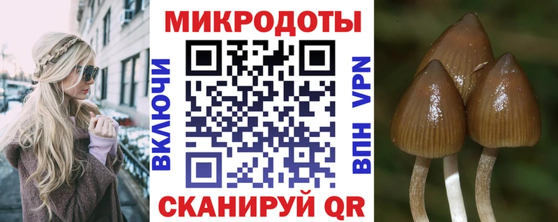 Купить закладки  Михайлов  Псилоцибиновые грибы GOLDEN TEACHER 